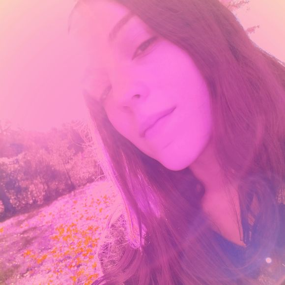 Meet your Posher, Taylor - Picture 1 of 1